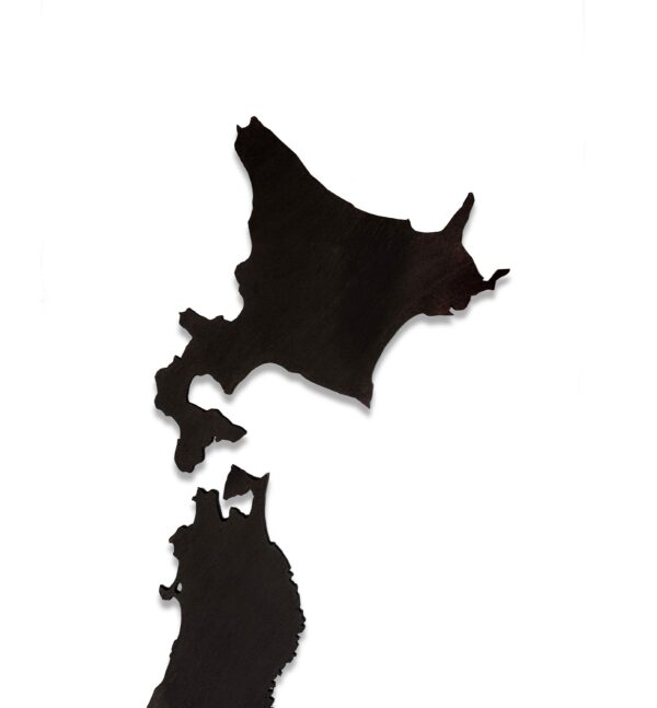 UBAMAP JAPAN - Wood Sticker Map - Image 5